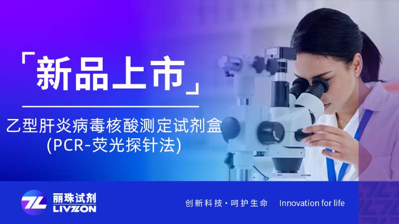 新品速報 | 乙型肝炎病毒核酸測定試劑盒(PCR-熒光探針法)全新上市！